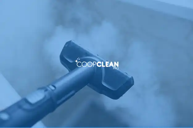 Eficacia de la limpieza a vapor: todos los beneficios